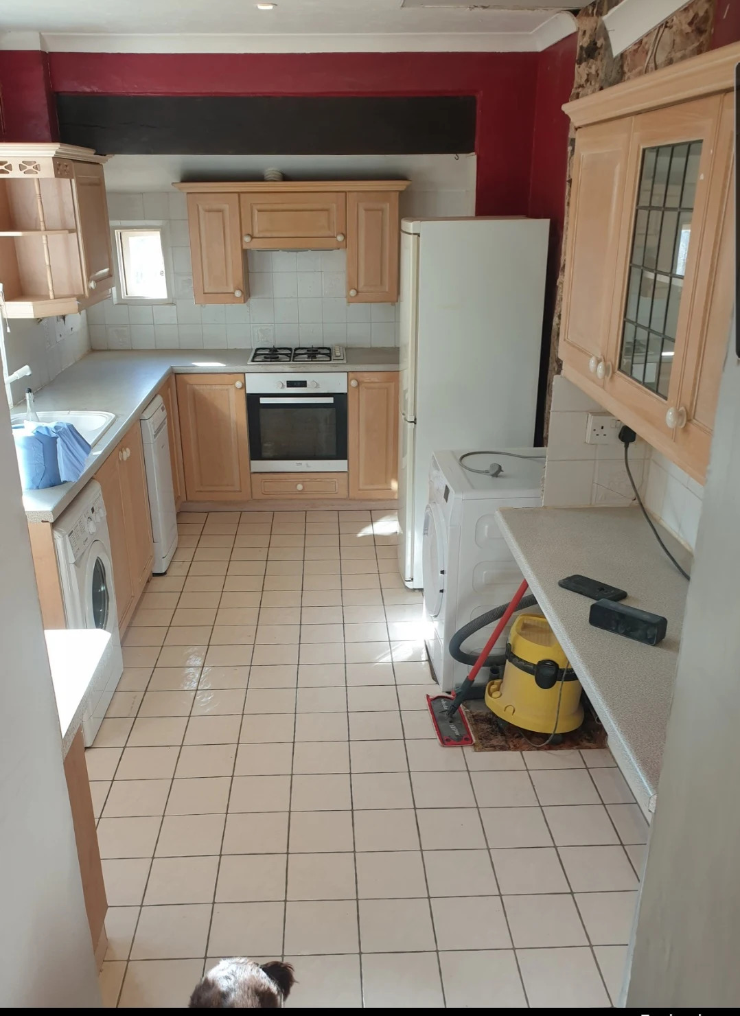 Single-storey rear extension project in progress in Brighton and Sussex